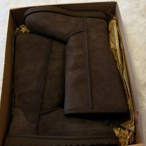 New Classic Tall Chocolate Brown  Suede UGG boot